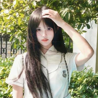 企鹅之岛:福克兰