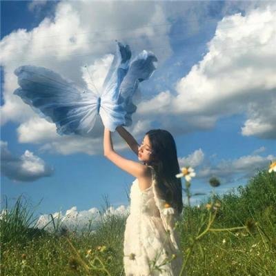熊族之旅