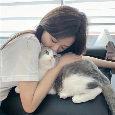 美感游击队